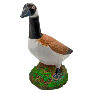 canadian-goose